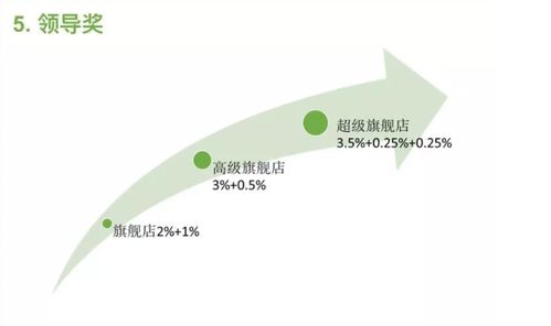 丽姿共享面膜系统开发 重庆软件产业的创新实践与价值分析